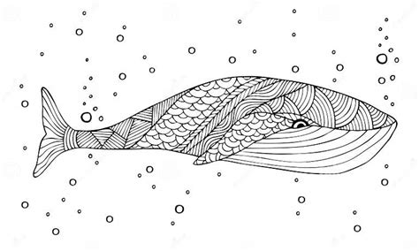 Adult Coloring Book Page Illustration 69404478 .